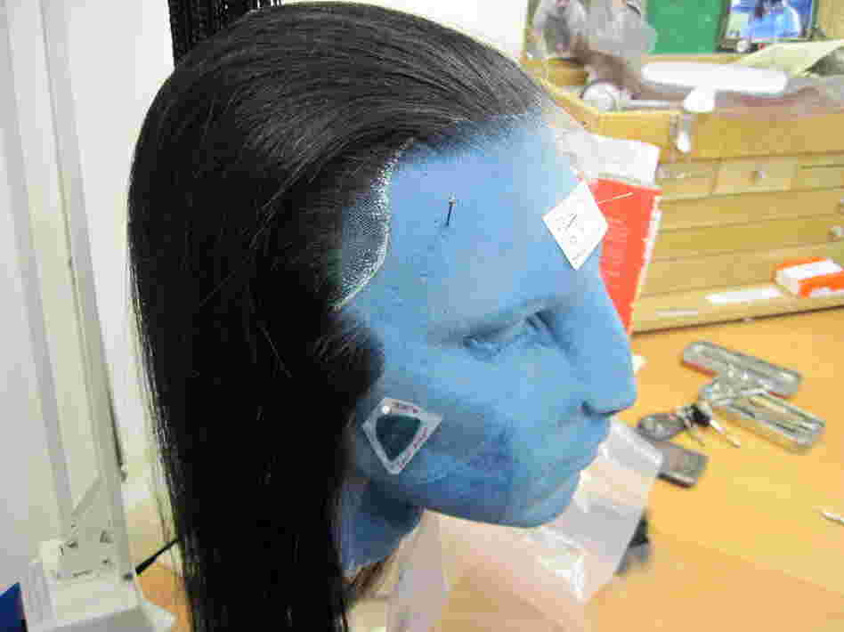 Legacy Effects, a special effects studio in California, designed the hairstyles for the characters in Avatar — the hairstyles were all fashioned out of human hair.