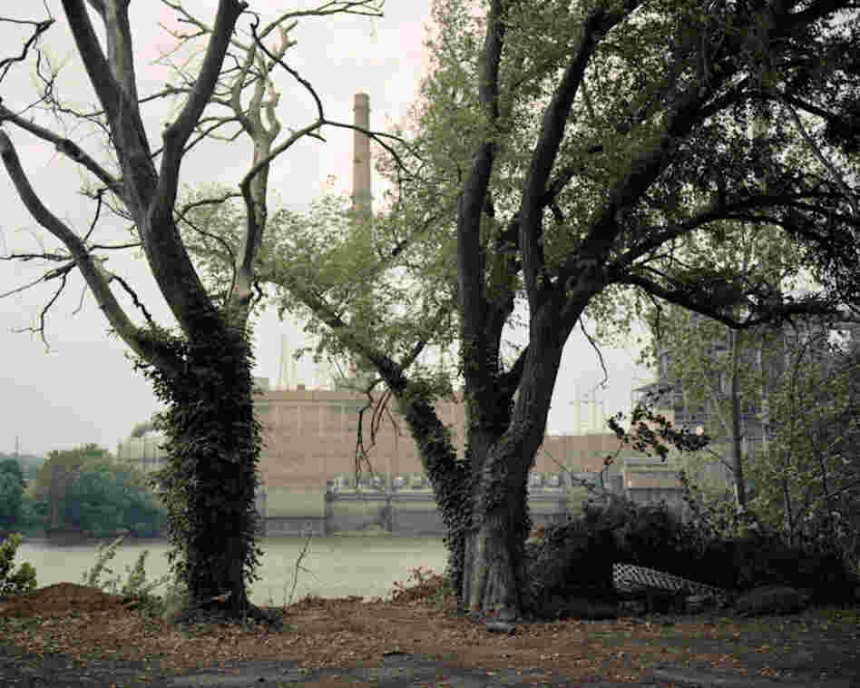 "The Ohio River became an important element in this project as it related to the region I was working in," Shea says. "It is what physically carries the coal from the mining sites in West Virginia and elsewhere to the power plants to be burned."