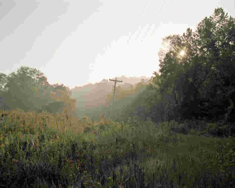 The power line is a simple reminder that we are always on the grid.