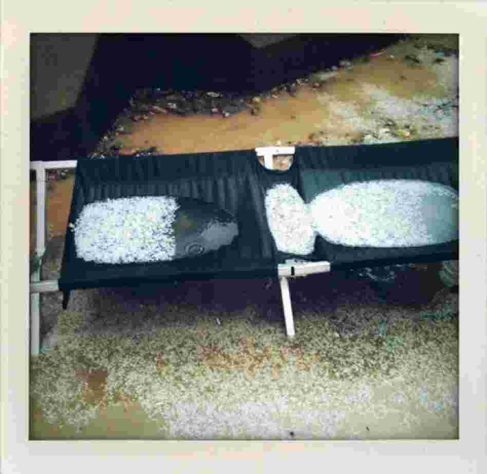 Hailstones fill a U.S. Marine cot after a storm at Camp Leatherneck in Afghanistan's Helmand province.