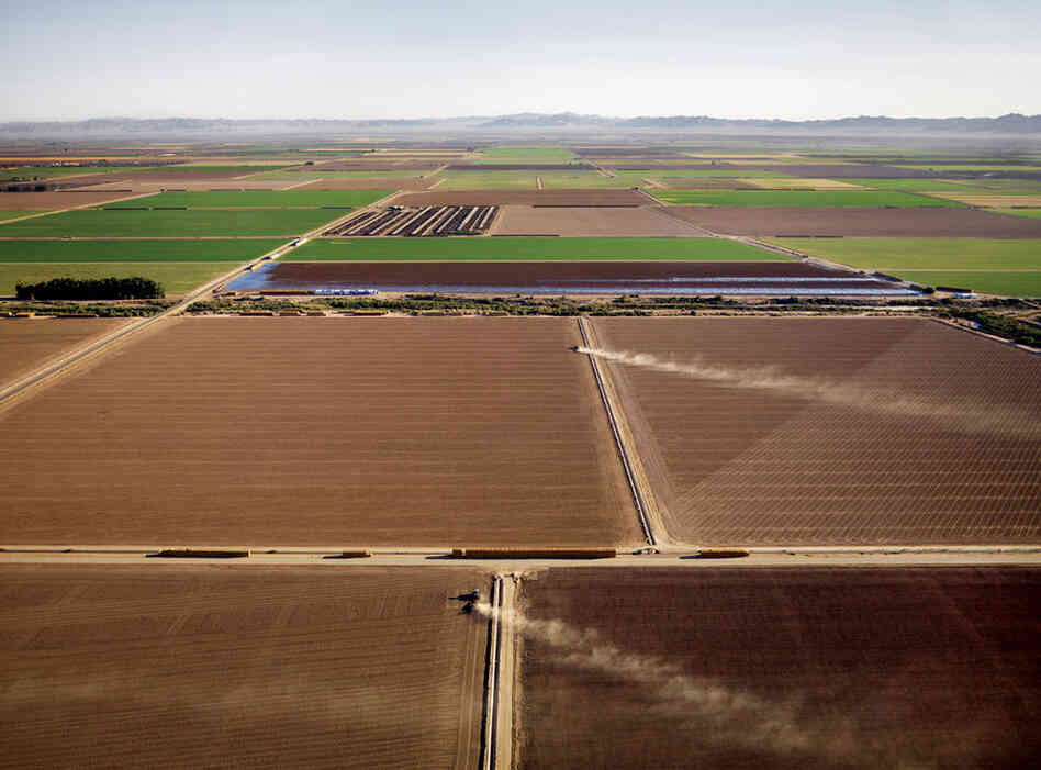 "Tractors kick up dust in the Imperial Valley, where rainfall averages three inches a year. Irrigation enables California's farmers to grow half of all U.S. vegetables, fruits and nuts."