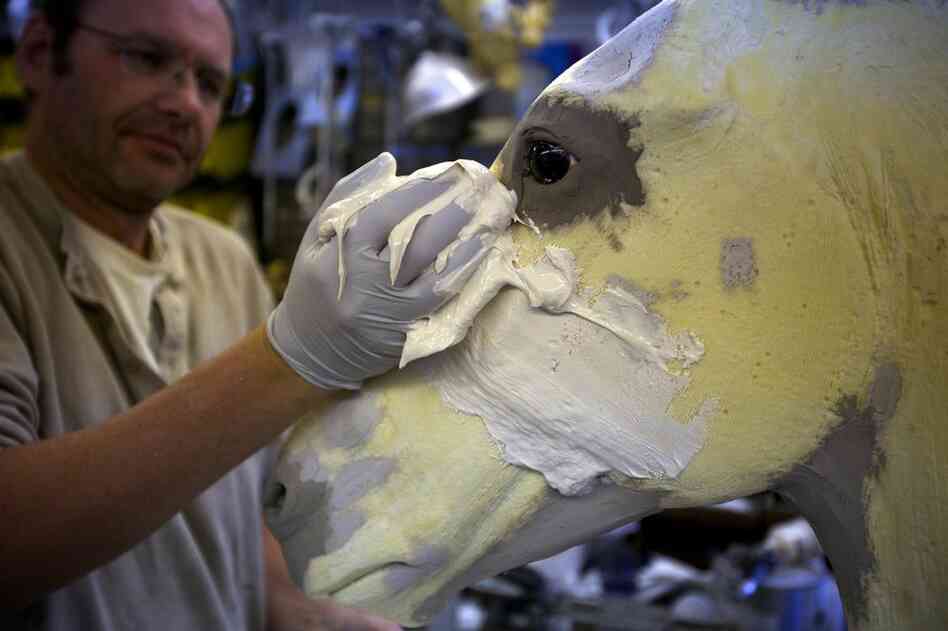 Rhymer applies a thick coat of glue to the face of the zebra mount in preparation for "dressing" the form with the zebra skin.