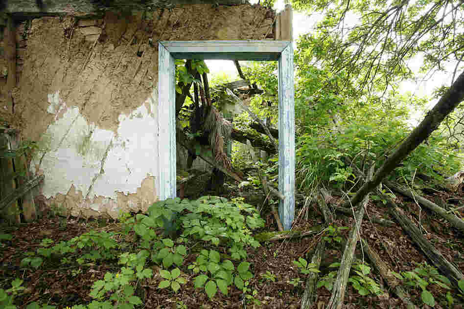 "In the Chernobyl Exclusion Zone, the abandoned village of Korogod is slowly crumbling back into the forest. 9.5 miles southwest of the power plant, this village was contaminated and evacuated."