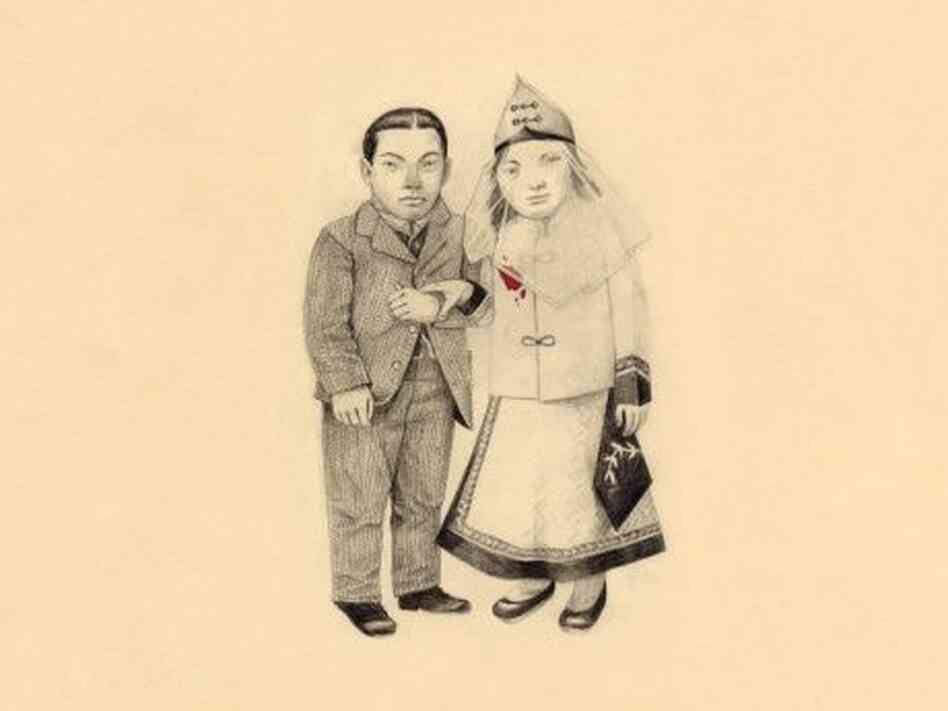 Cover for Crane Wife