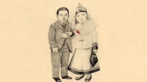Cover for Crane Wife