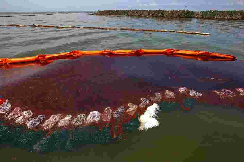 Heavy oil pools along the side of a boom just outside Cat Island in Grand Isle, La., June 6. 
