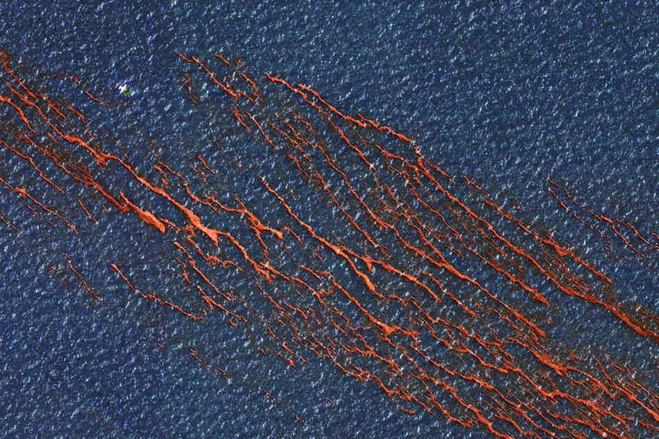 Tendrils of oil mar the waters of the Gulf of Mexico in this satellite image taken Monday. An estimated 5,000 barrels of oil a day are seeping into the Gulf, after an explosion last week on a drilling rig about 50 miles off the Louisiana coast. 