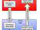 Ingest Process Flow