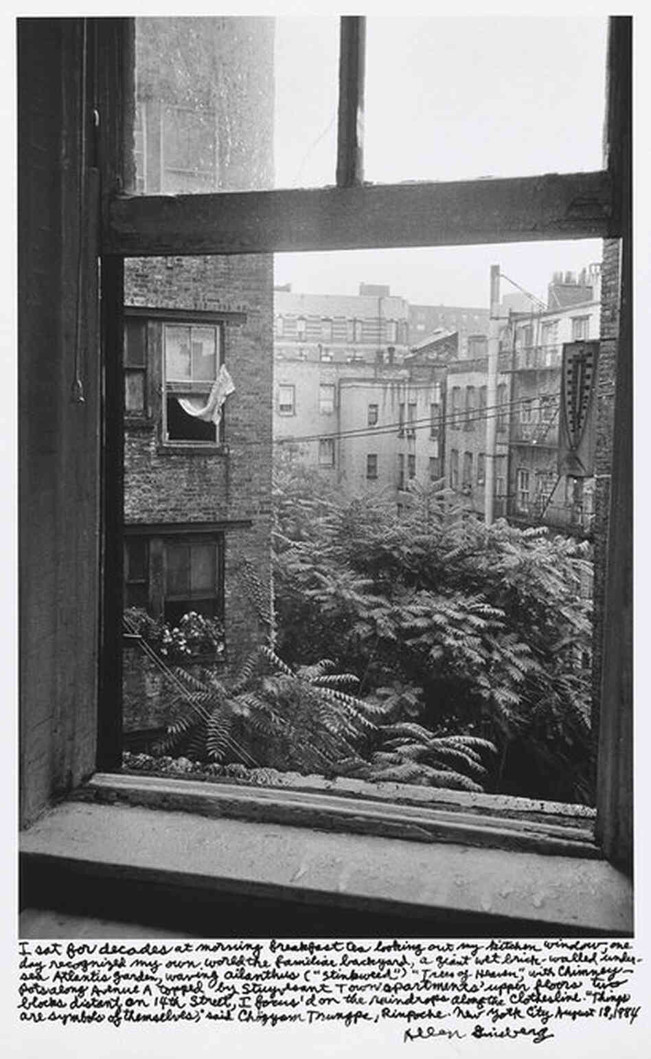 "I sat for decades at my morning breakfast tea looking out my kitchen window, one day recognized my own world the familiar background ... New York City August 18, 1984."