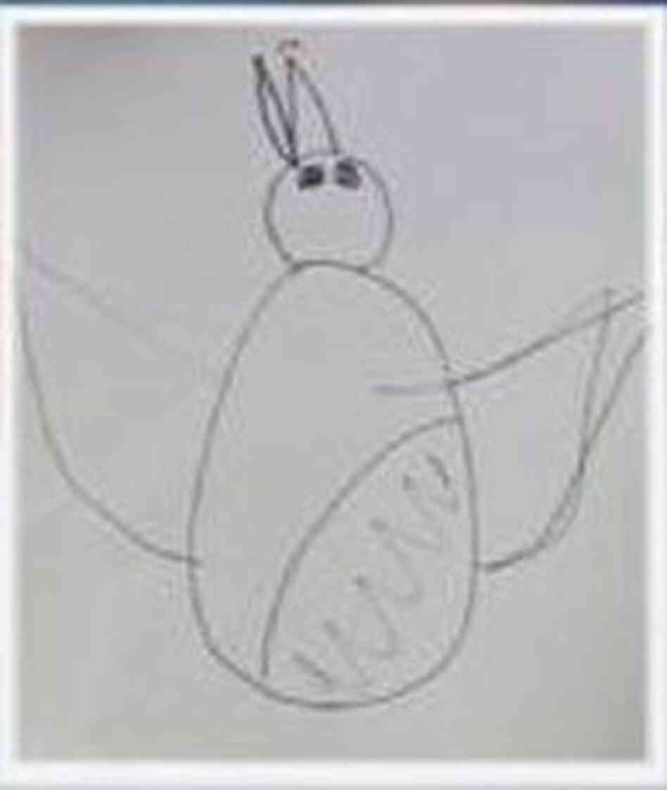 crazy bird sketch crazy bird sketch