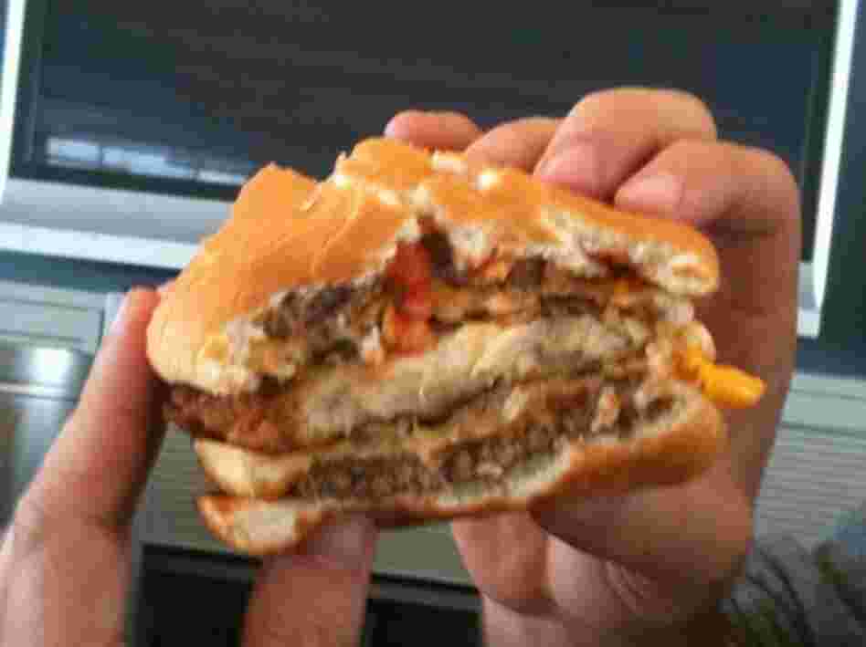 cross section of mcdonalds sandwich cross section of mcdonalds sandwich