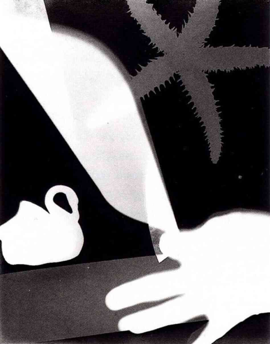 Starfish rayograph, undated