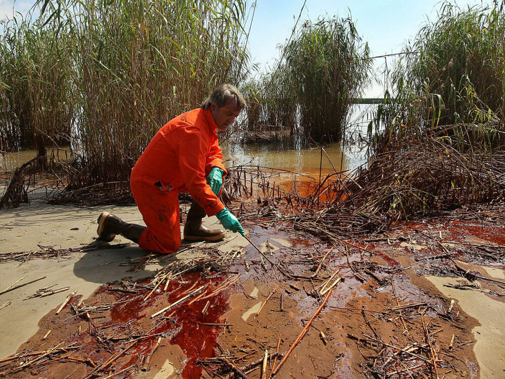 A marine biologist inspect oil.