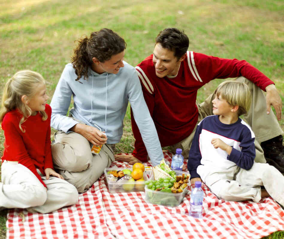 Mother Father Son and Daughter (8-11) Having a Picnic and Chatting Mother Father Son and Daughter (8-11) Having a Picnic and Chatting