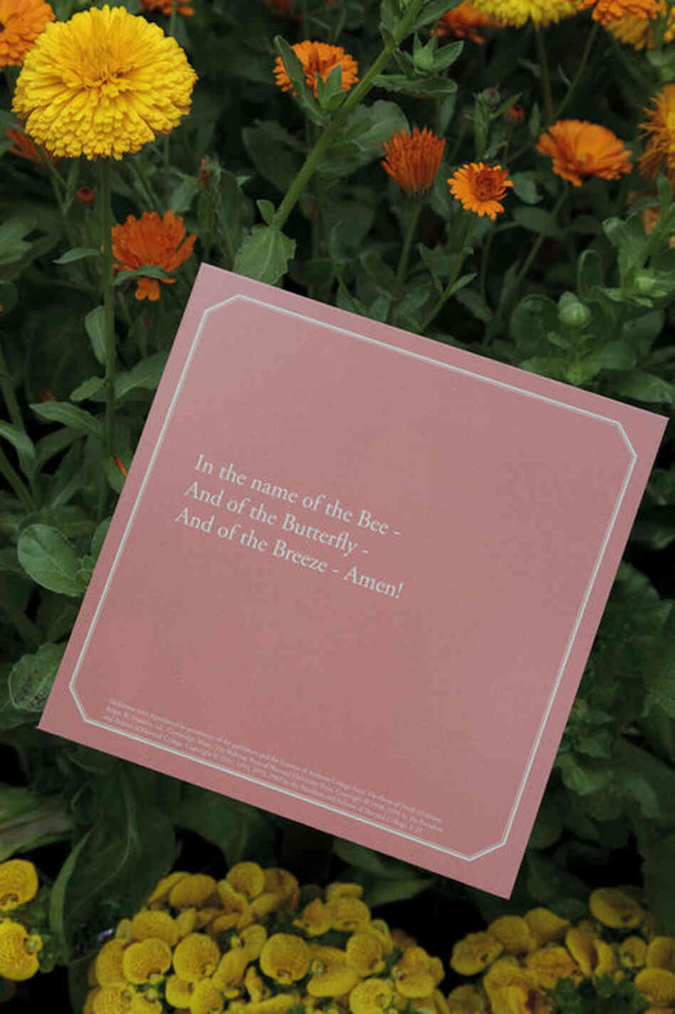 Plaques with Dickinson's poetry — including this excerpt from "The Gentian weaves her fringes" — are placed among the flowers in the show. 