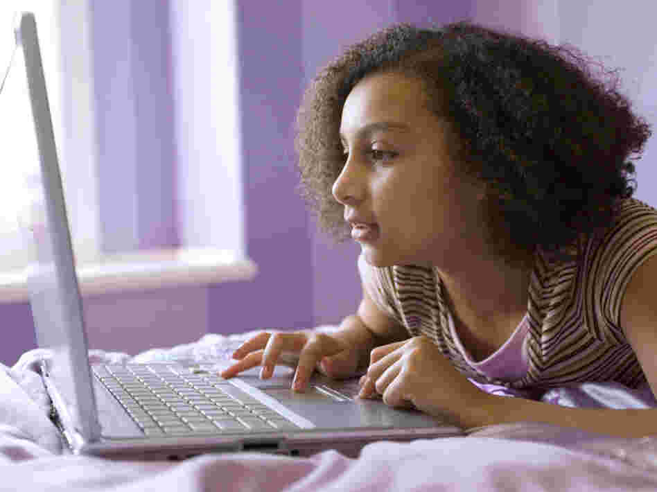 Girl with laptop Girl with laptop