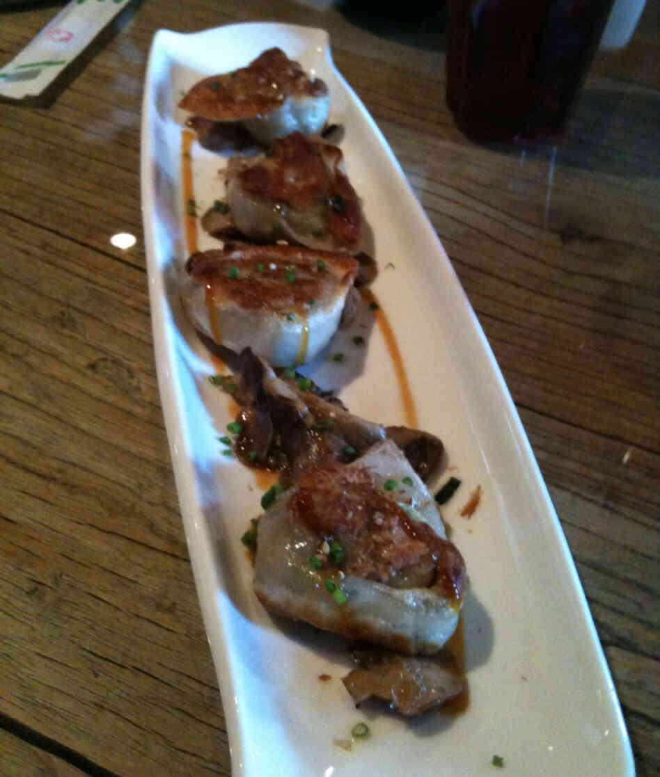 Chicken dumplings. Chicken dumplings.