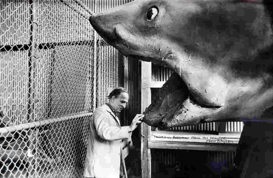 Ingmar Bergman, the late director, examines one of the three original Bruces. This is the last known published photo of any of the original Bruces; it was taken in 1975, several months after the film's release. 