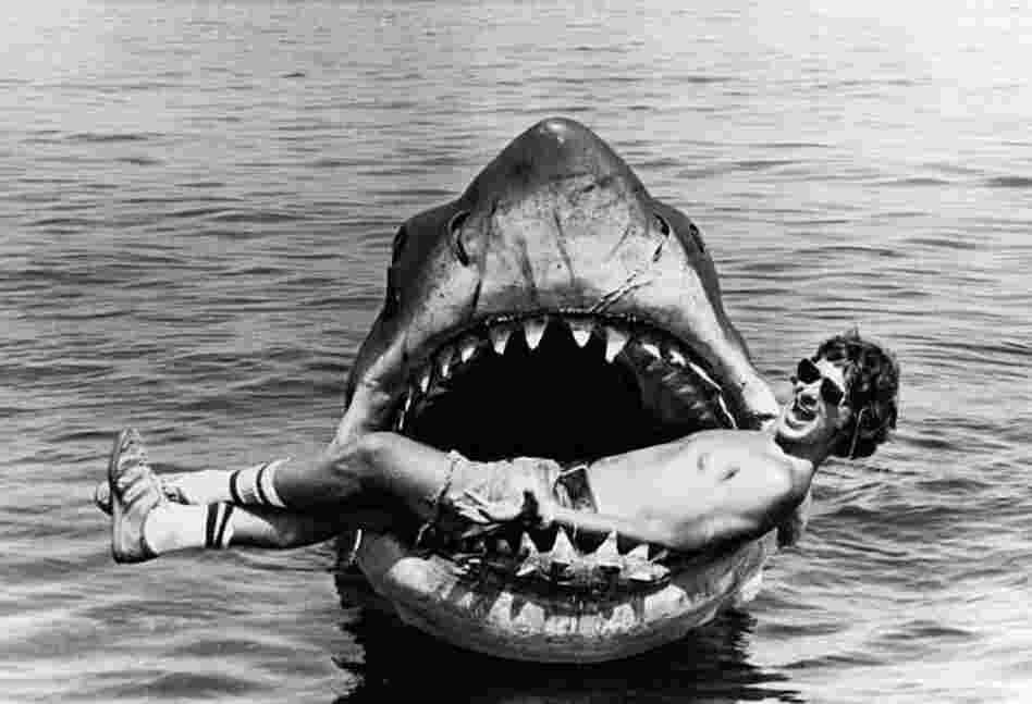 Steven Spielberg, director of Jaws. 