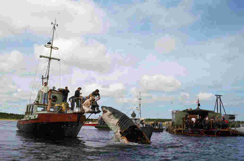Two of the three Bruces had their sides exposed for easier, faster maintenance of the shark.  Bruce is controlled by a crew - and a considerable amount of hardware - visible on the skiff to the right. 