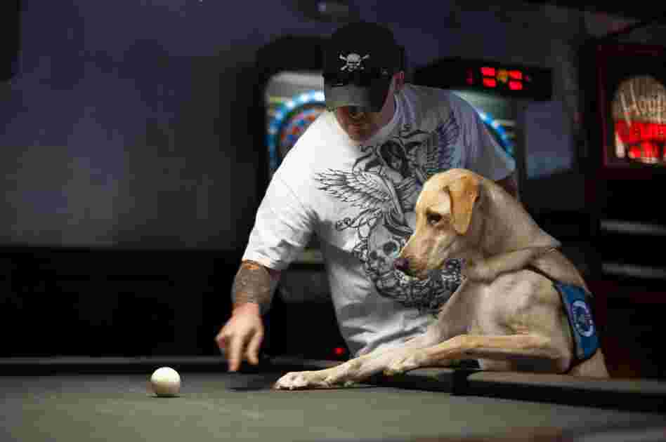 Sanford's service dog, Harley, takes interest in a cue ball during a social outing with other Mentis patients.