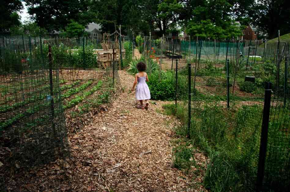 Veda heads out of the Friendship Community Garden after an afternoon of work.
