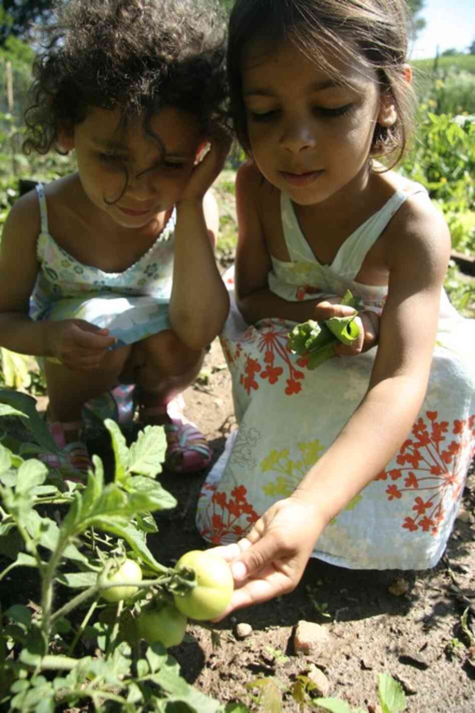 In the children's book We Grew It, Let's Eat It, as told by the twins to Kenin, the girls learn about urban gardening.