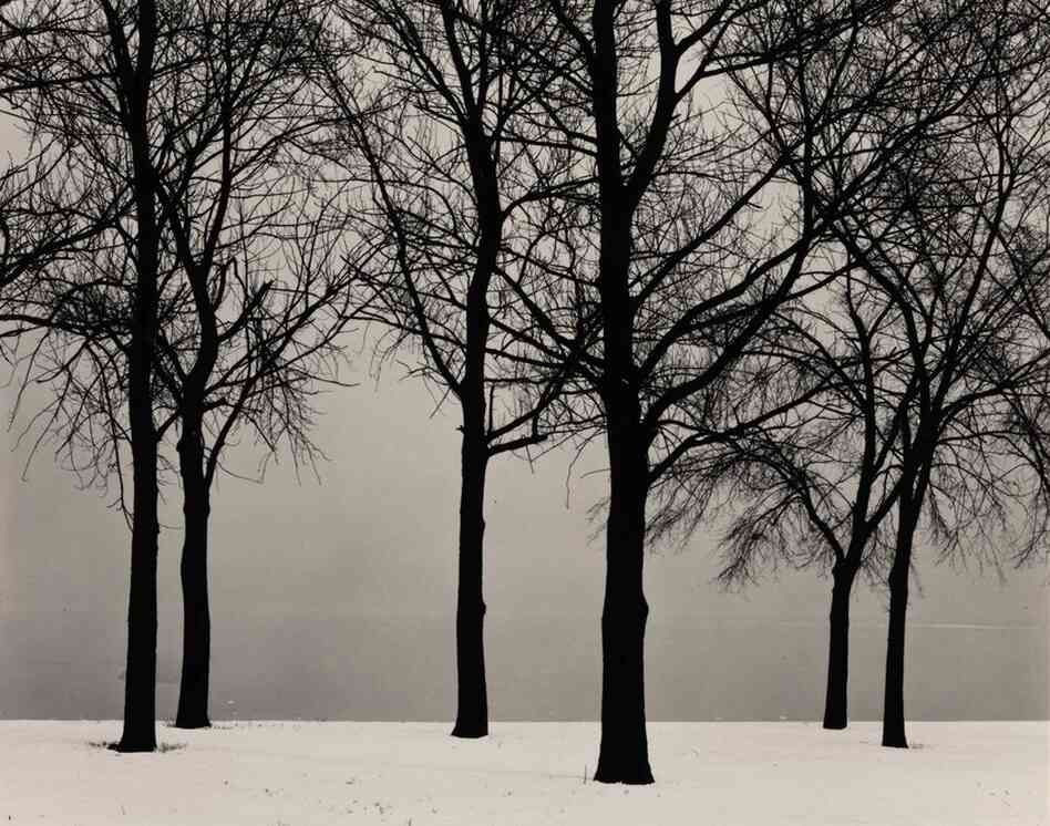 Chicago (Trees in Snow), gelatin silver print, est. $70,000-$100,000 