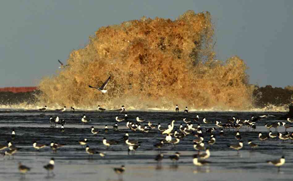 Sand from a dredge is pumped onto East Grand Terre Island, La., to provide a barrier against the Deepwater Horizon oil spill, June 8. 