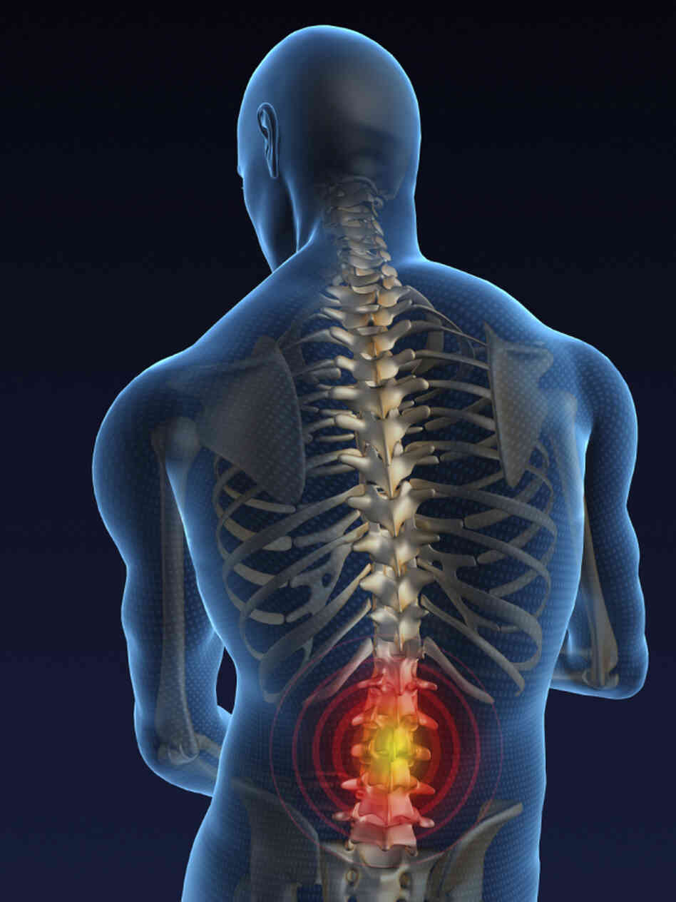 lower back pain lower back pain