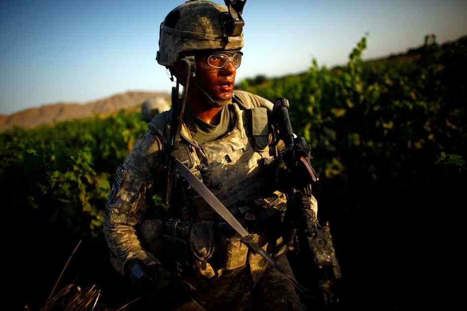 Staff Stg. Jamie Newman, with Bravo Company of the 101st Airborne Division, walks through grape vineyards in Kandahar province. Bombs and homemade explosive devices make road travel too dangerous. The Taliban live in the area, planning their attacks and hiding weapons here.