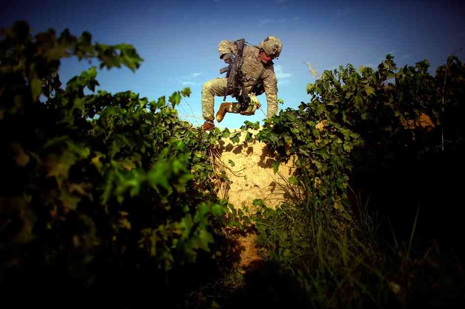 Pfc. James Turner scales an 8-foot-high mud wall. The terrain in the Pashmul area of Kandahar province makes patrolling difficult. Rows of grapevines stand 10 feet tall, and there is knee-deep mud between the rows. Taliban fighters move under the cover of the dense foliage, making the landscape seem more like a jungle than a desert.