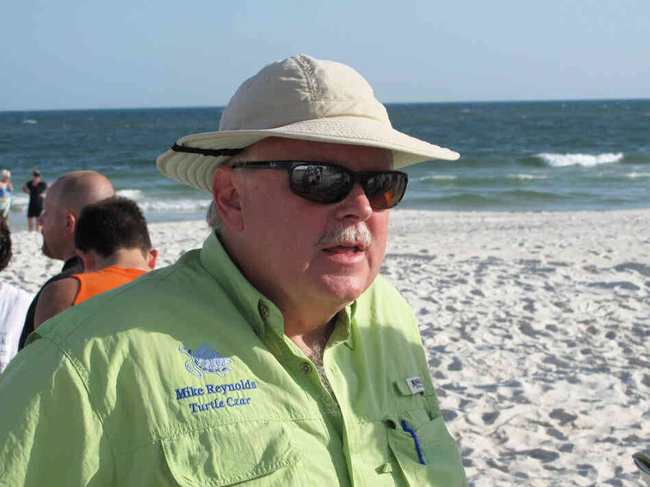 Mike Reynolds is Alabama's "turtle czar," directing the Share the Beach program. Three hundred volunteers comb the state's 47 miles of white sand beach, looking for turtle crawls – tracks left by females that return to the same beach each year to lay eggs.