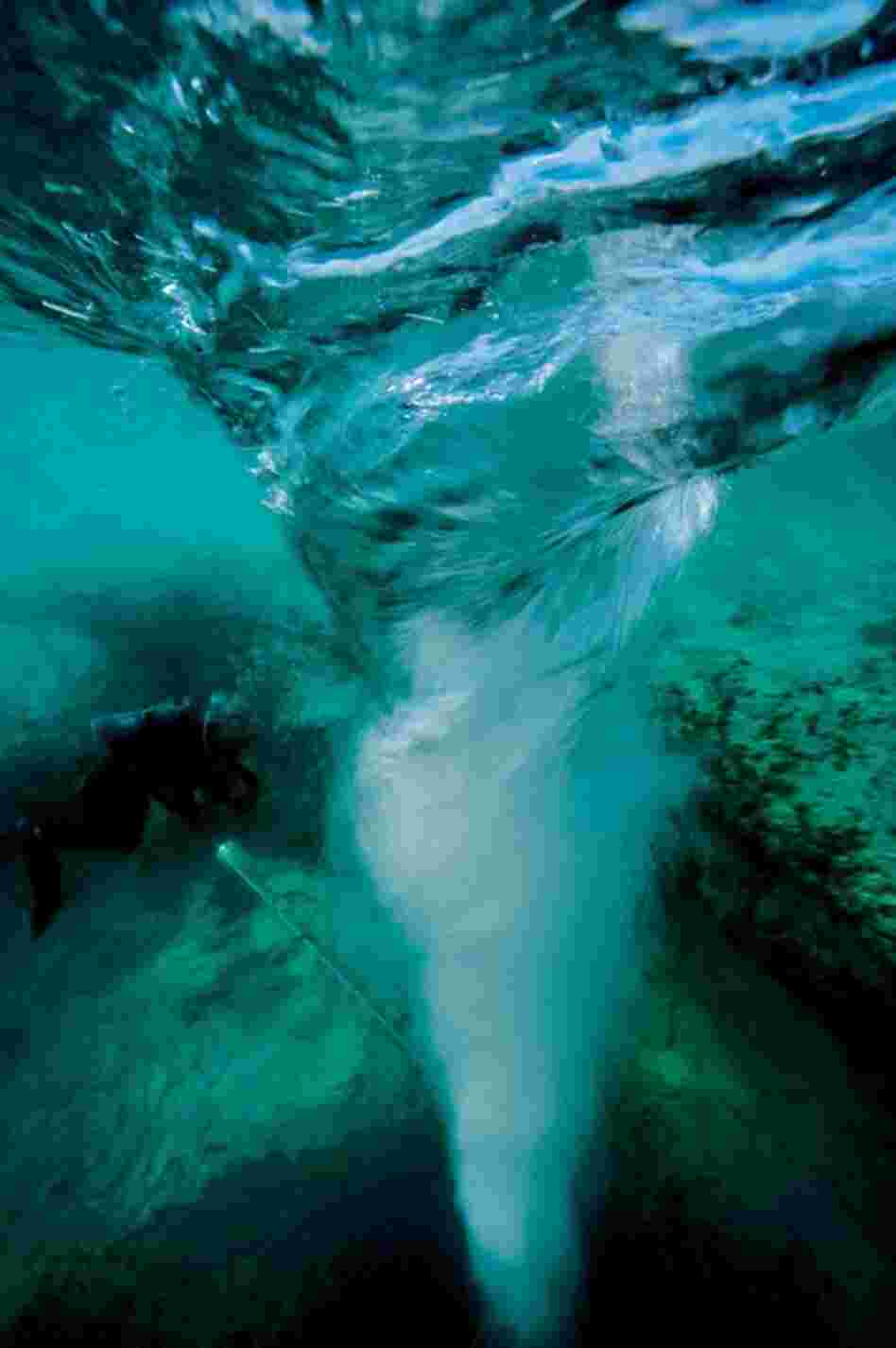 Wes Skiles described the "insanely dangerous vortex in Chimney Blue Hole off Grand Bahama. "All of a sudden, it's got you." Like a giant bathtub drain, it sucks down millions of gallons when the tide comes in. "It's like going over a waterfall — there's no escape."