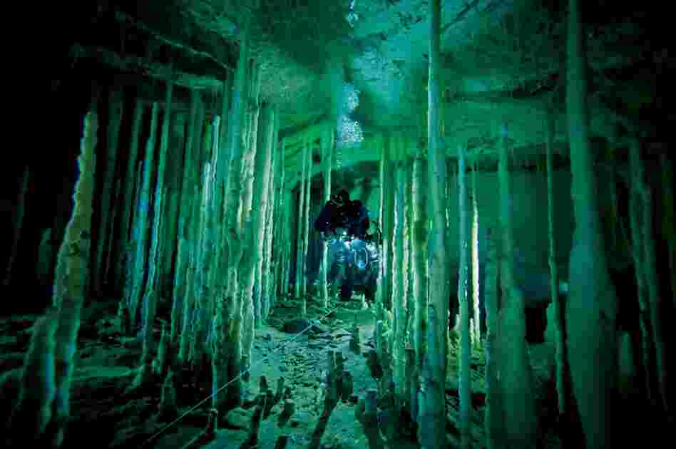 A diver navigates a stalagmite forest in Dan's Cave on Abaco Island. One fin kick could shatter mineral formations tens of thousands of years old. 