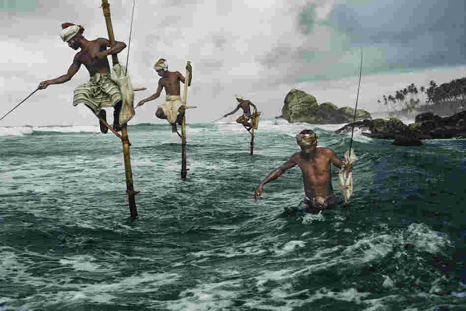 Fisherman at Weligama, Sri Lanka