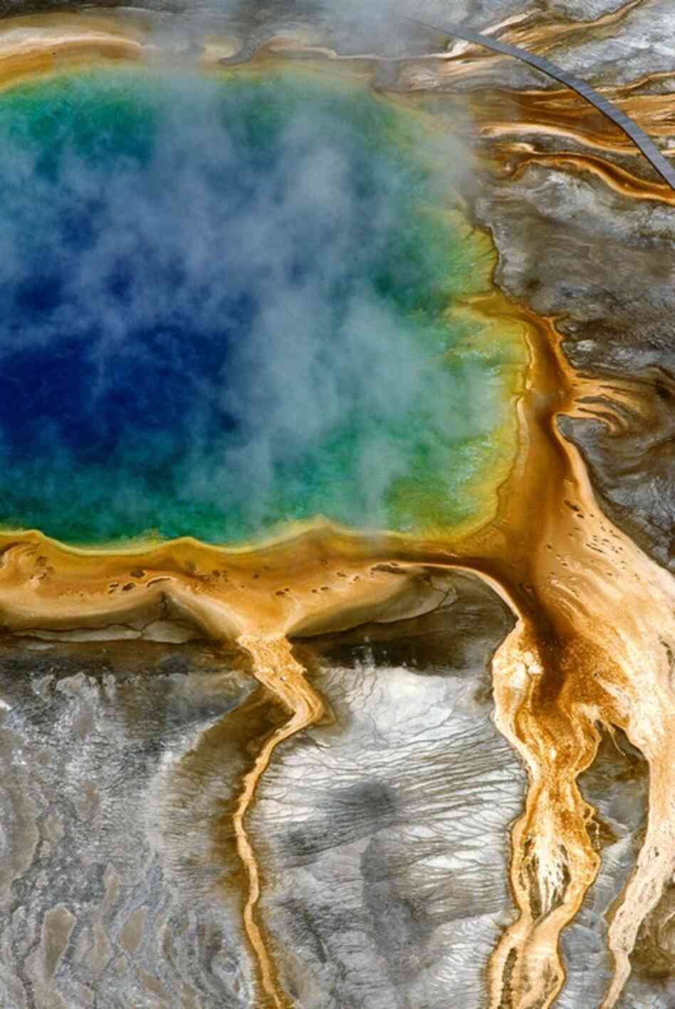 High above Grand Prismatic Spring, Yellowstone National Park 