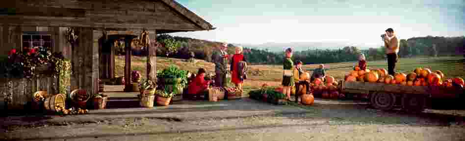 Pumpkins for sale at roadside stand, Vermont. Displayed 1971 