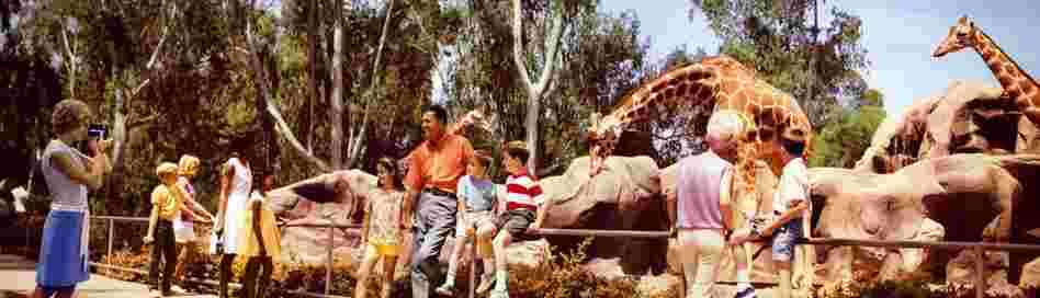 San Diego Zoo, San Diego. Displayed 1968 