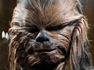 Chewbacca, the most famous Wookiee of them all. Chewbacca, the most famous Wookiee of them all.