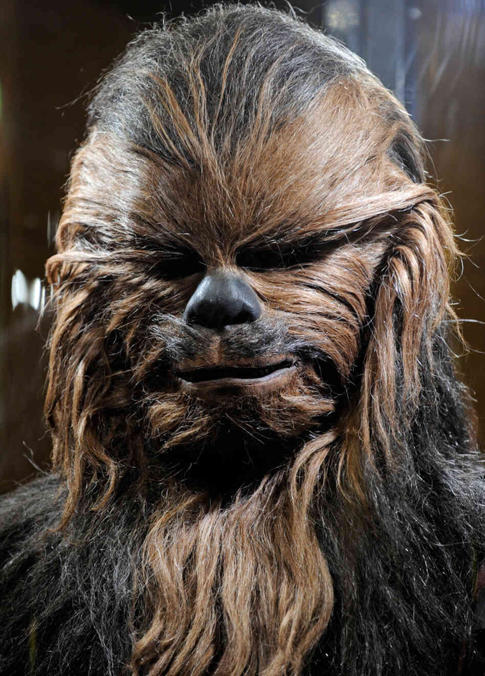 Chewbacca, the most famous Wookiee of them all. Chewbacca, the most famous Wookiee of them all.