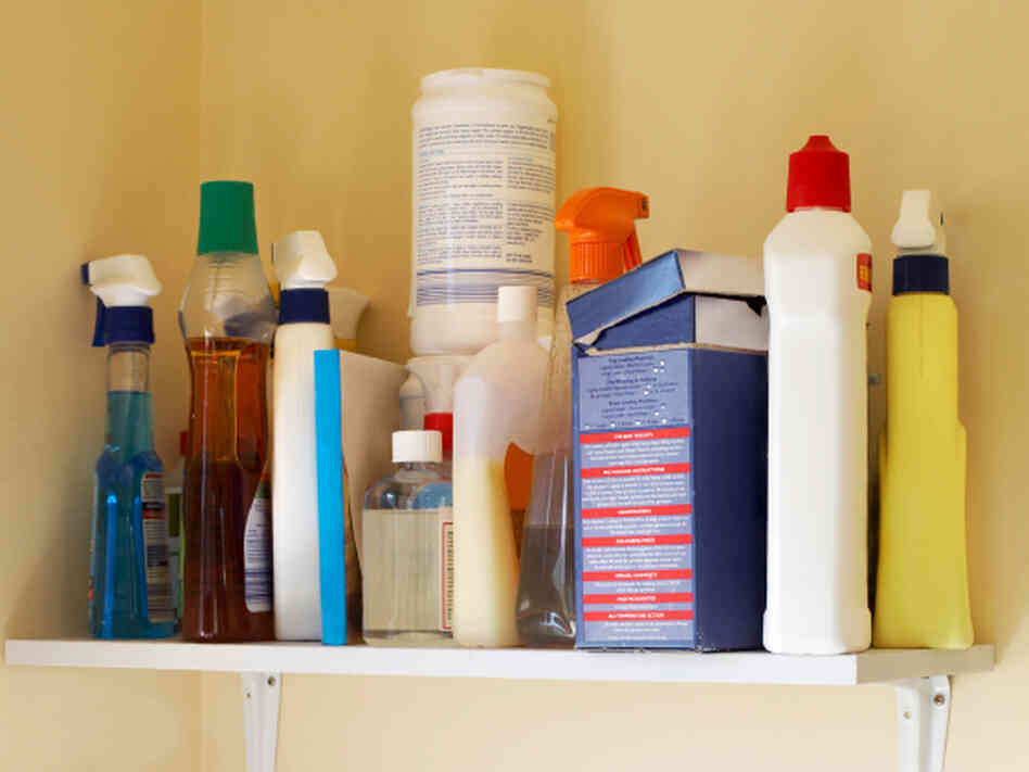 Household cleaners on a shelf Household cleaners on a shelf