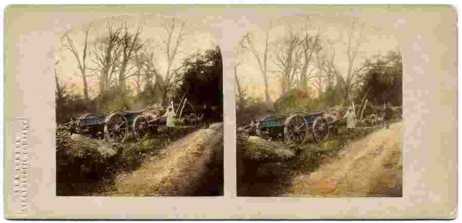 Lane Leading to the Farm. Although May obviously did not invent the stereoscope, he did devise the collapsible type that come with his book. The verse that accompanies the images was written by T. R. Williams, the original photographer.