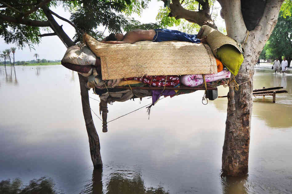 A flood survivor sleeps on a hammock Aug. 13 in Shah Jamal village. 