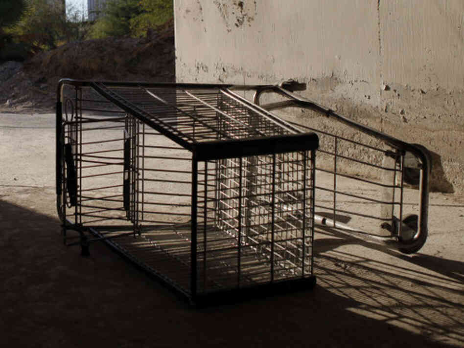 shopping cart shopping cart