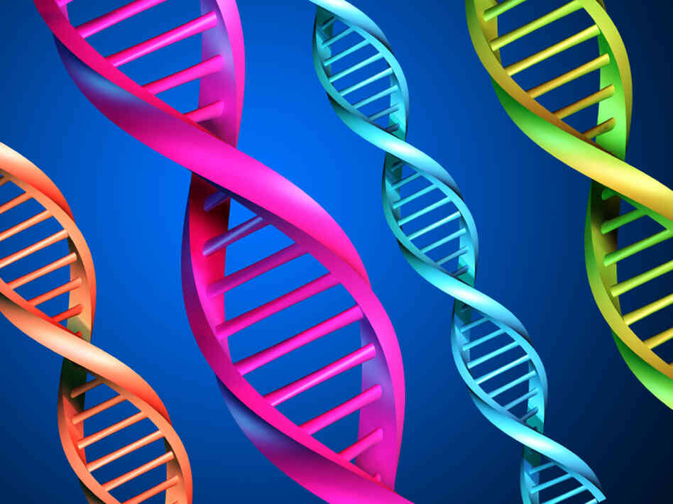 DNA DNA