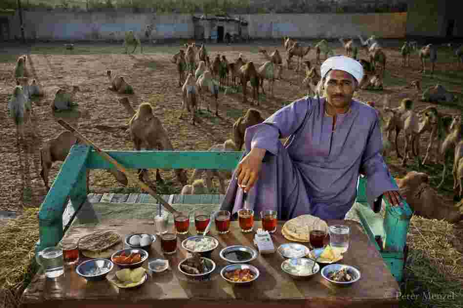 Camel broker Saleh Abdul Fadlallah in Egypt is 40 years old, 5 foot 8, and weighs 165 pounds. His intake of calories on a typical April day was 3,200 kcals. His menu: eggs with butter, fava beans, country bread, potato chips, feta cheese, soup, rice, black tea, etc.