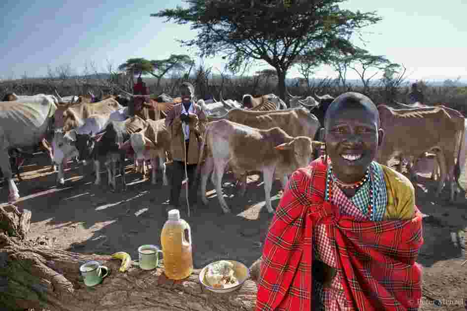 Noolkisaruni Tarakuai, the third of four wives of a Maasai chief near Narok, Kenya. She is 38 years old, 5 foot 5 and 103 pounds, and consumed 800 calories on a typical January day. She is photographed here with her day's worth of food: largely maize meal and milk.