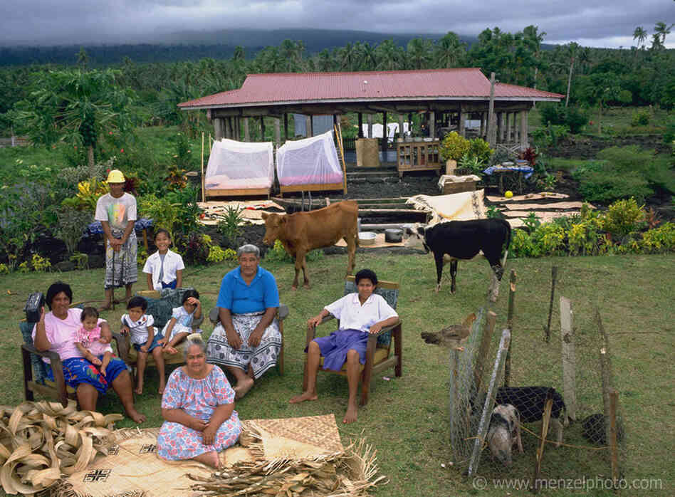 The Lagavale family lives in a small tin-roofed open-air house in Poutasi Village, Western Samoa. The Lagavales have pigs, chickens, a few calves, fruit trees and a vegetable garden. They farm, fish and make crafts to support themselves. They also work for others locally, which helps supplement their modest needs. 