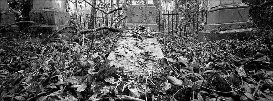 A family cemetery dating from the mid-1850s located in woods outside Utica.